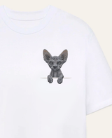 Sfinks