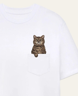 Kot szkocki (tabby)