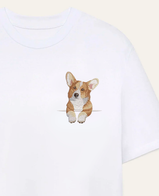 Corgi