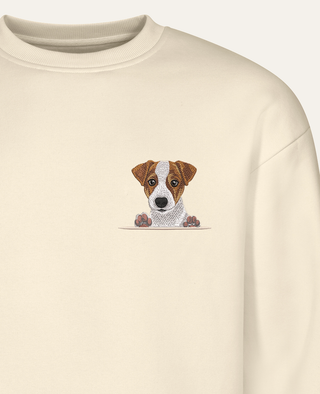 Jack Russell terrier