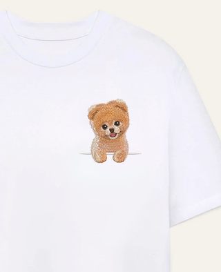 Szpic miniaturowy (Pomeranian) strzyżony
