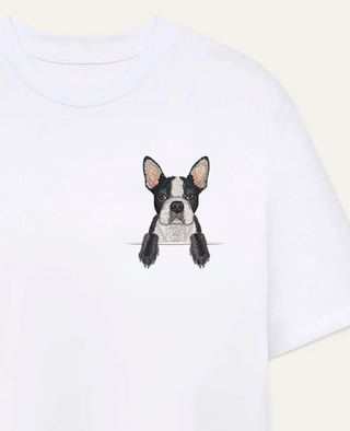Boston terrier