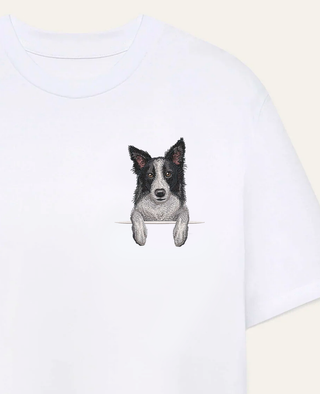 Border collie