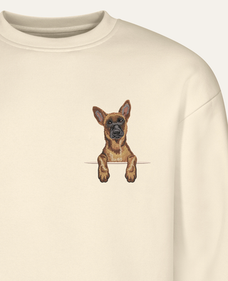Owczarek belgijski malinois