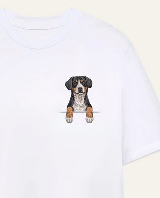 Entlebucher sennenhund