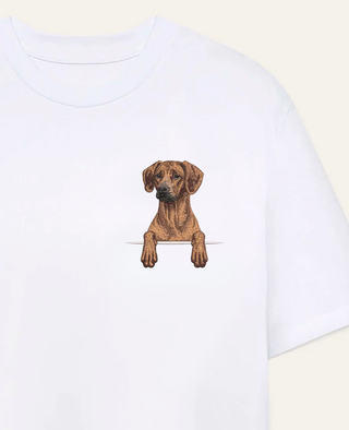 Rhodesian ridgeback