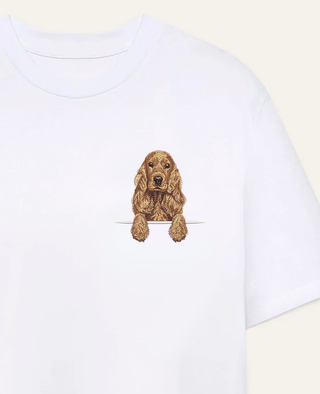 Cocker spaniel angielski