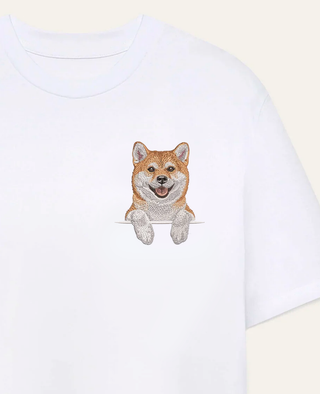 Shiba