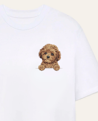 Maltipoo mini