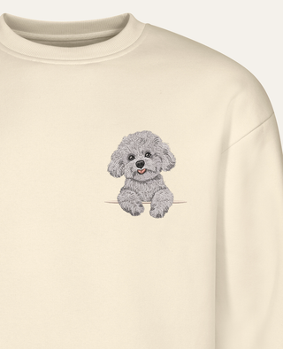 Bichon frisé