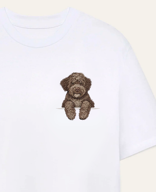 Lagotto romagnolo
