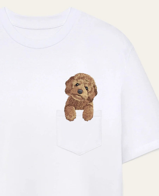Maltipoo