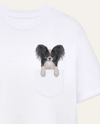 Papillon