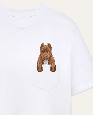 Pitbull