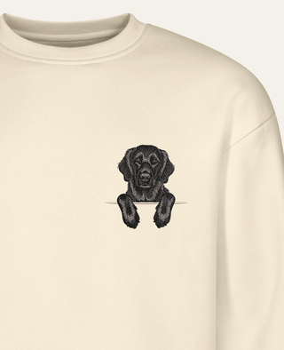 Flat coated retriever