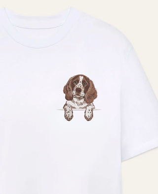 Springer spaniel angielski