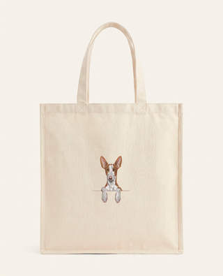 Podenco z Ibizy