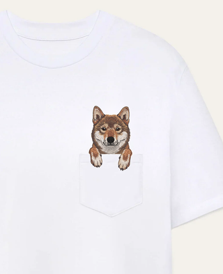 Shikoku