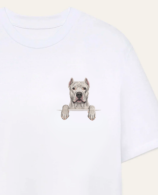 Dog argentyński
