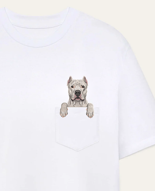 Dog argentyński