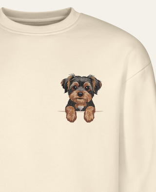 Morkie