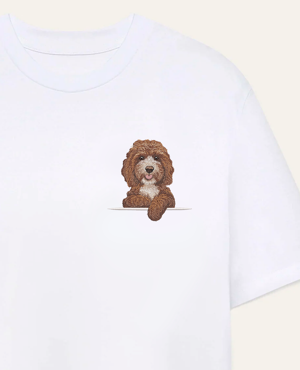 Cockapoo
