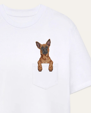 Owczarek belgijski malinois