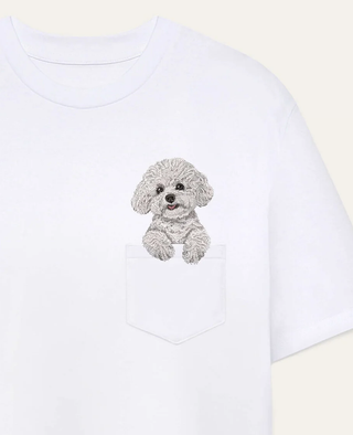 Bichon frisé