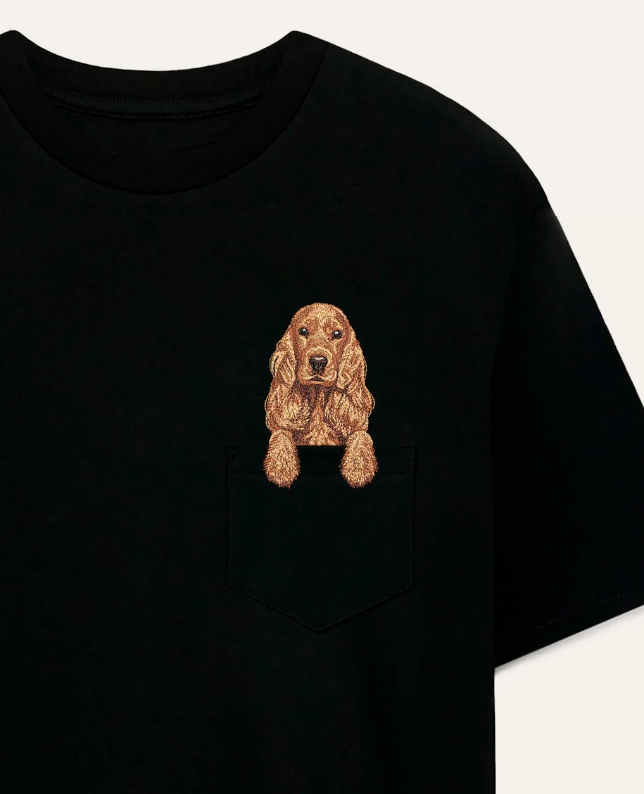 Cocker spaniel angielski (złoty) - biały (zbliżenie)