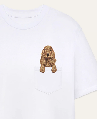 Cocker spaniel angielski