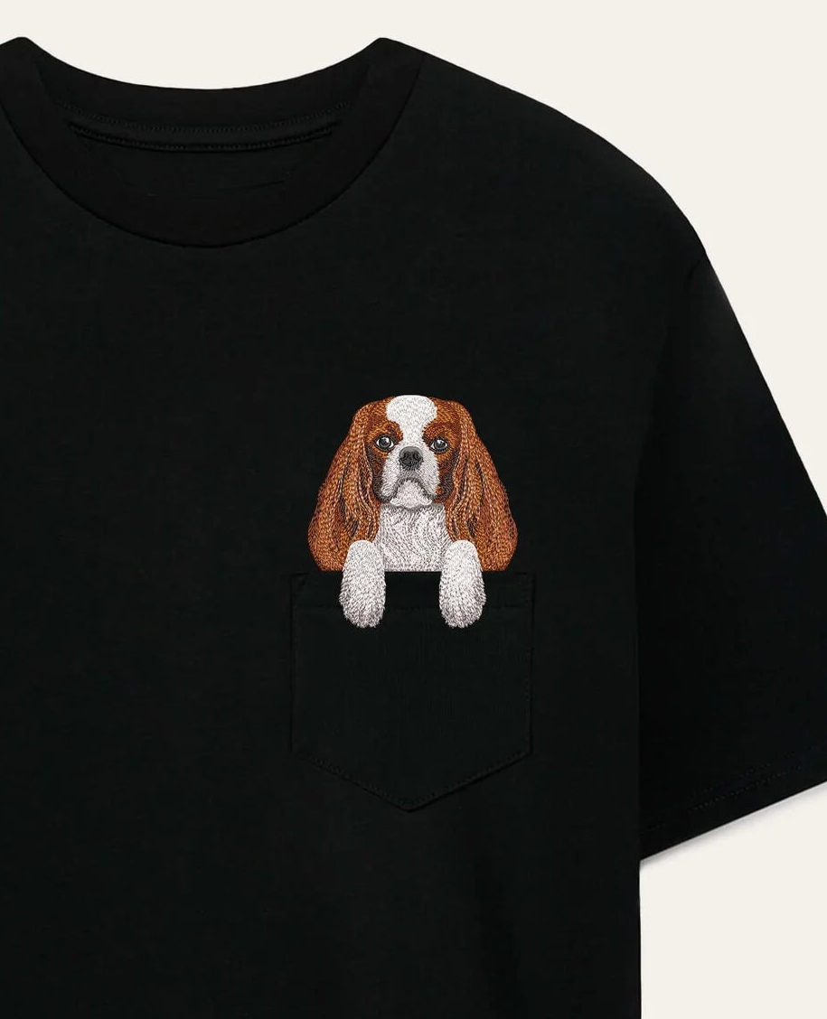 Cavalier King Charles Spaniel (blenheim) - czarny (zbliżenie)