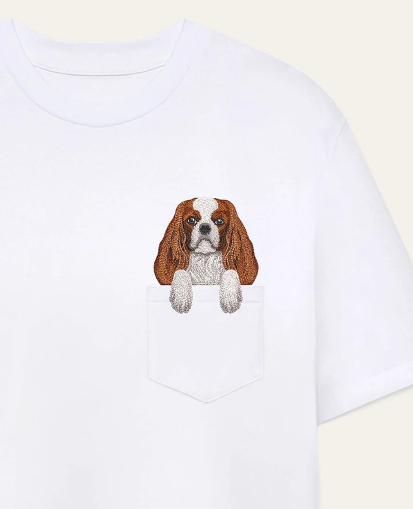 Cavalier King Charles Spaniel
