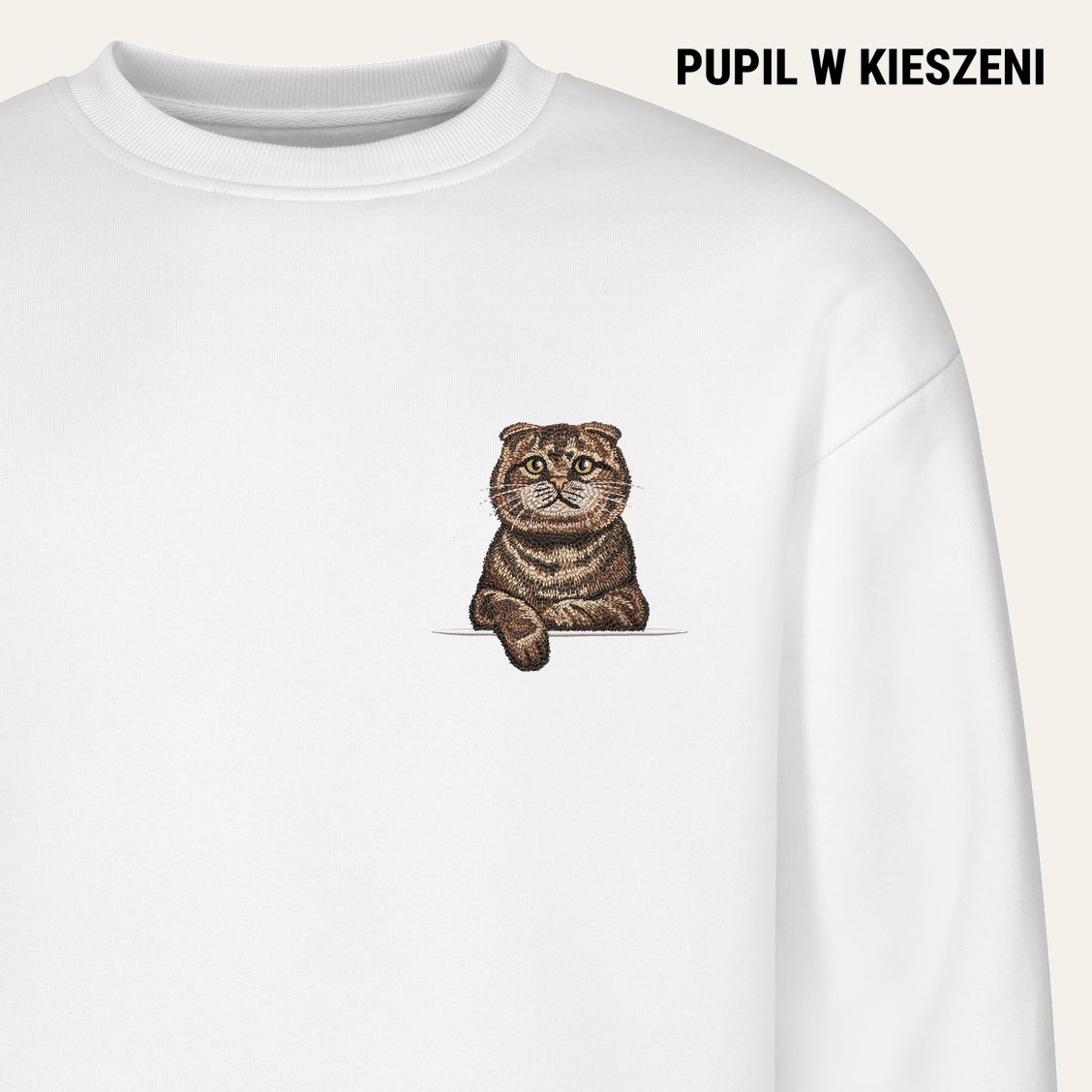 Kot szkocki fold (tabby) (brązowy) – bluza z haftem, biała
