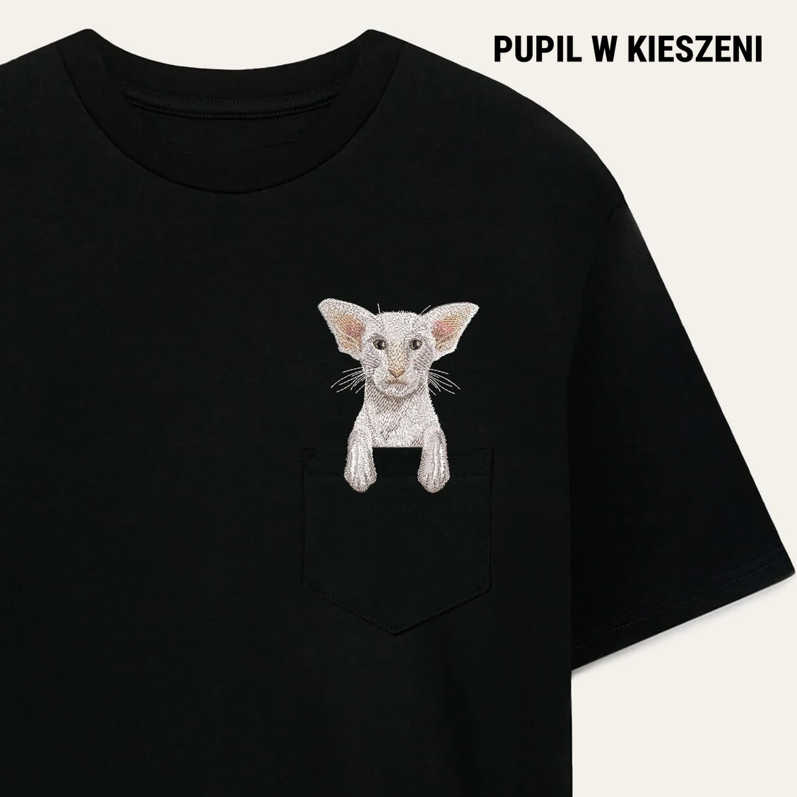 pwk-cat 1x1 black PWK-Koty-007