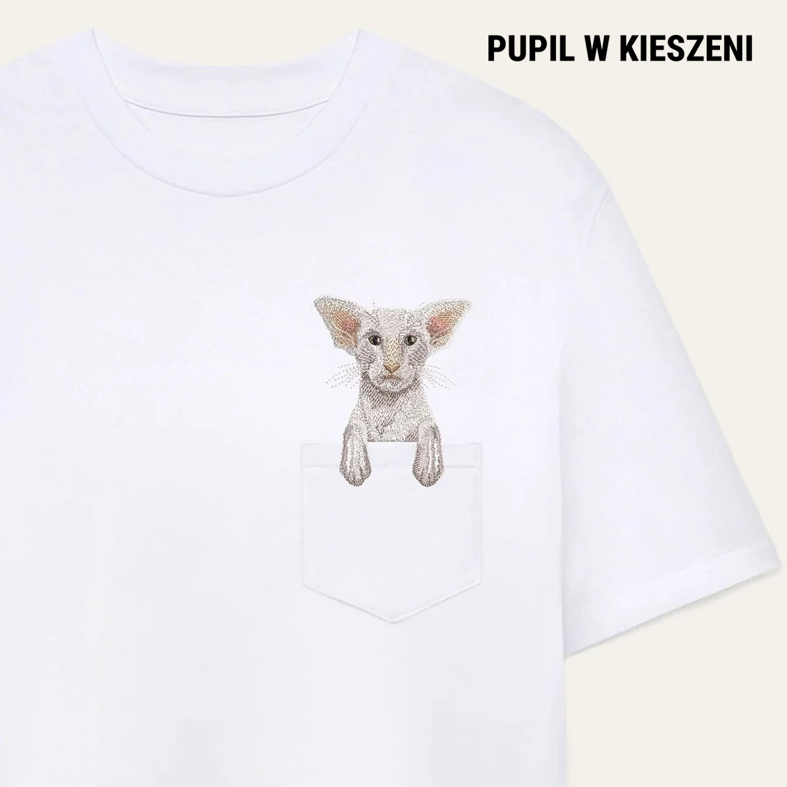 pwk-cat 1x1 white PWK-Koty-007