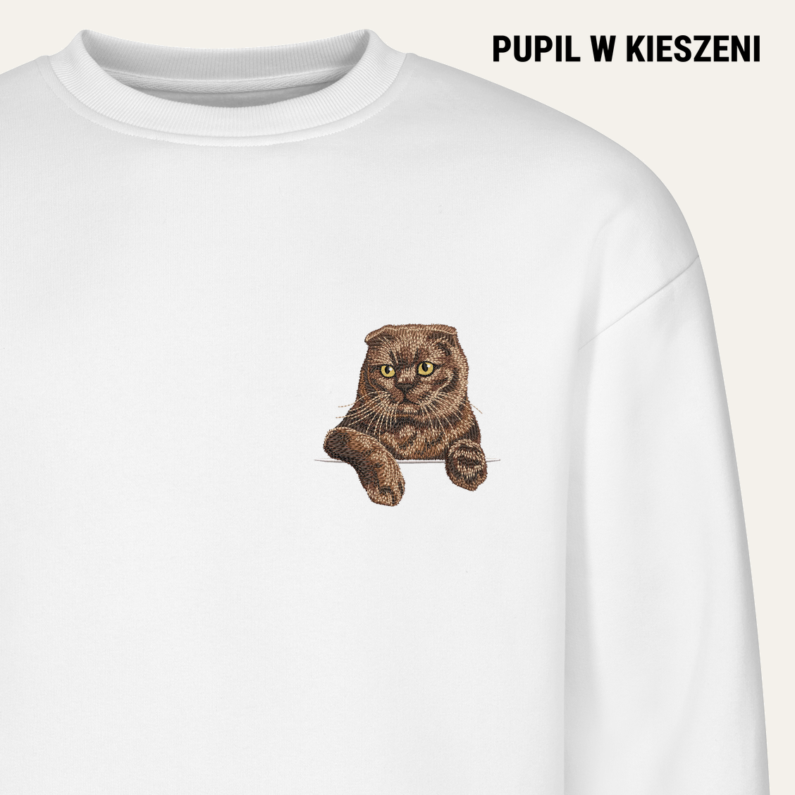 Kot szkocki fold (brązowy) – bluza z haftem, biała