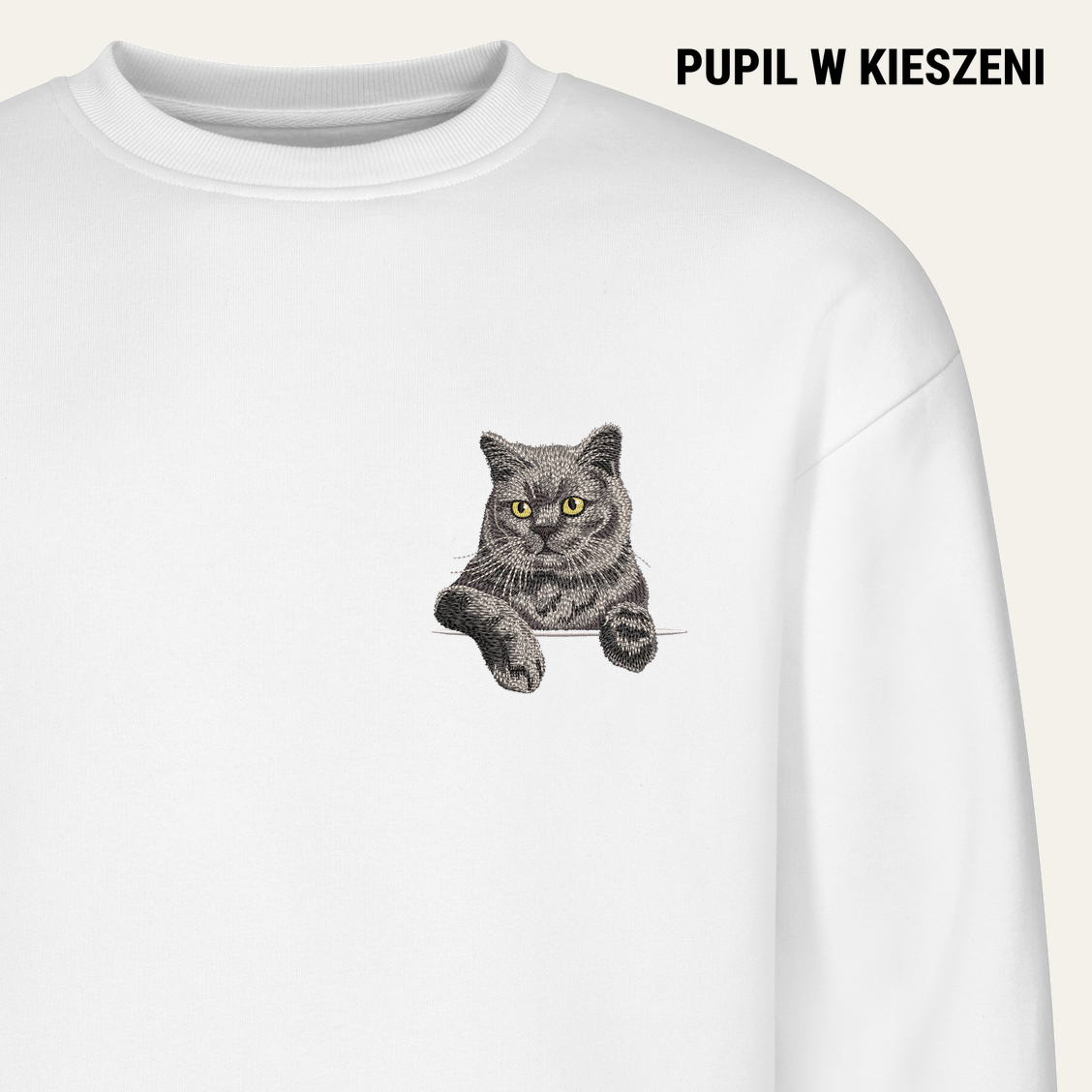 pwk-cat 1x1 white PWK-Koty-063-BLU
