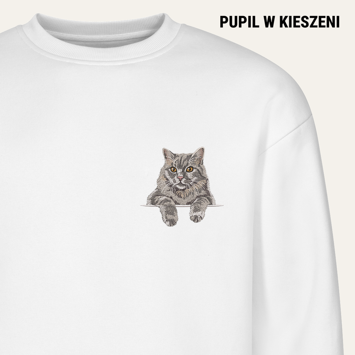 pwk-cat 1x1 white PWK-Koty-064-BLU