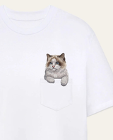 Ragdoll