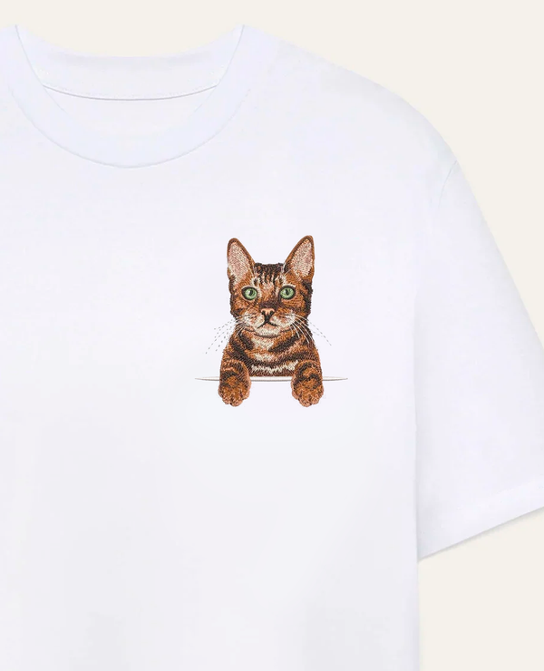 Kot bengalski