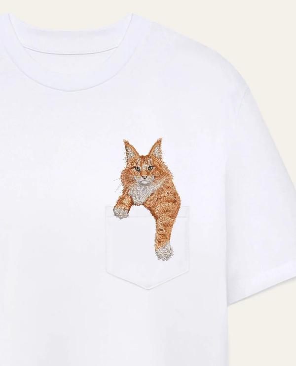 Maine coon