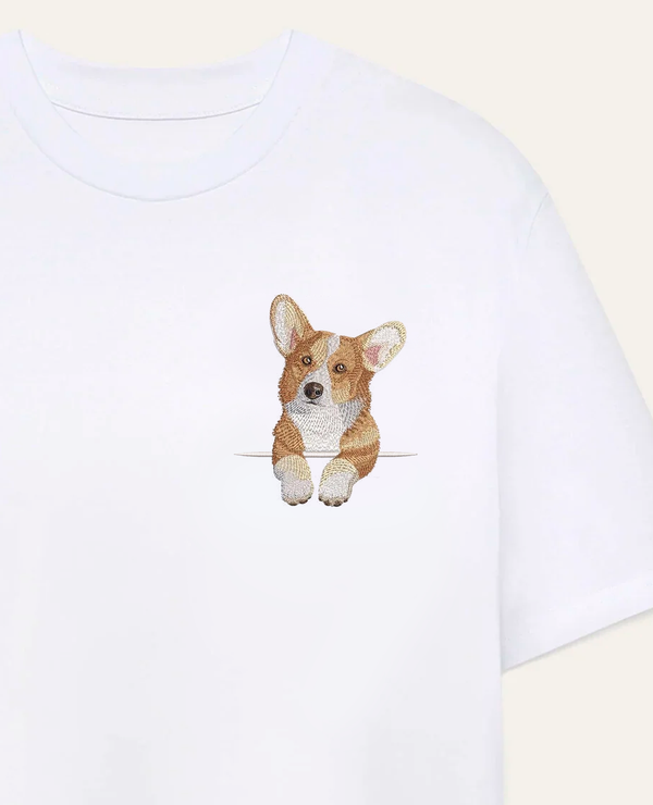 Corgi