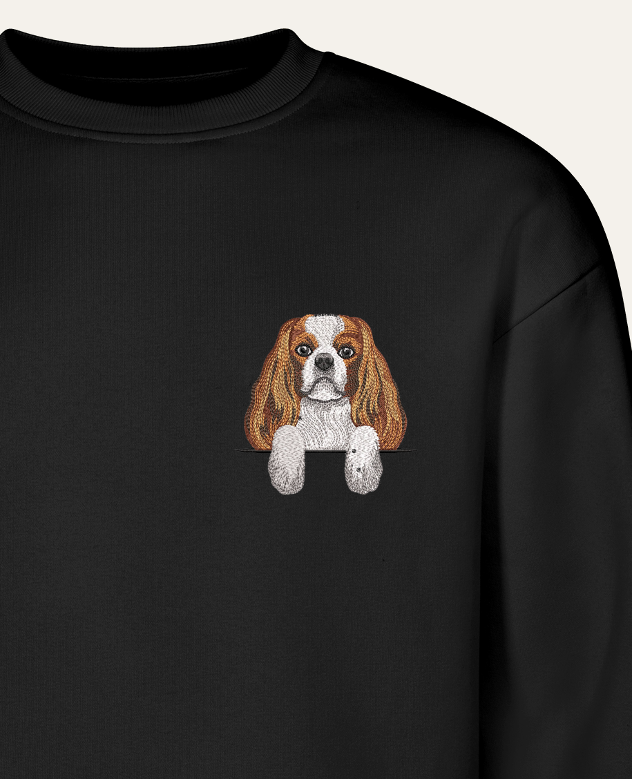 Cavalier King Charles Spaniel (blenheim) – bluza z haftem, czarna (zbliżenie)