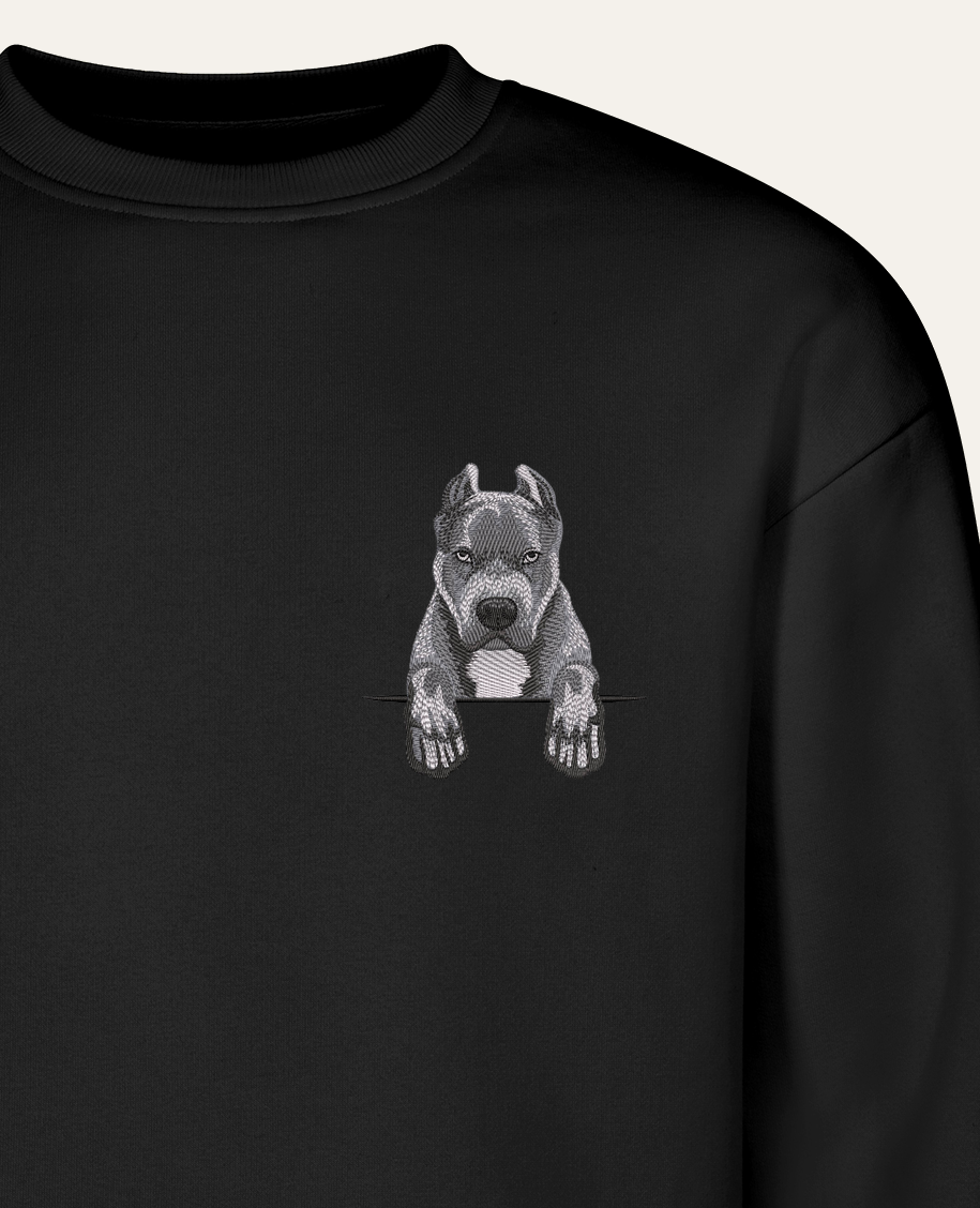 Pitbull (szary) – bluza z haftem, czarny