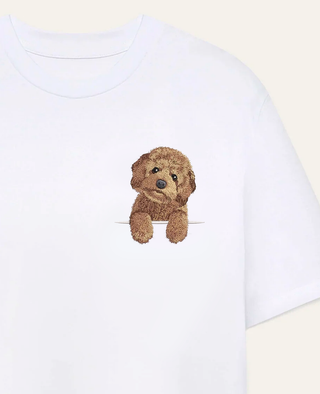 Maltipoo