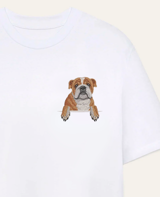 Buldog angielski