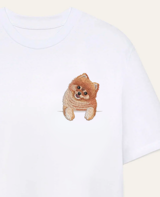 Szpic miniaturowy (Pomeranian)