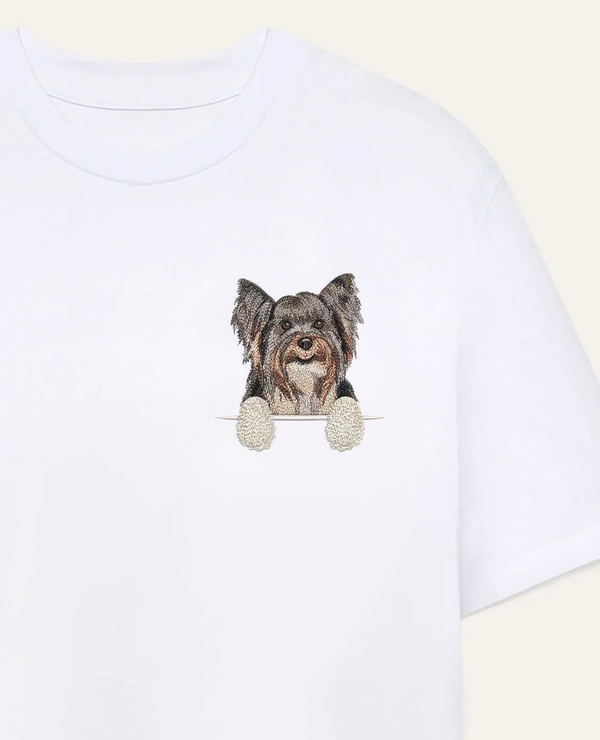 Biewer terrier