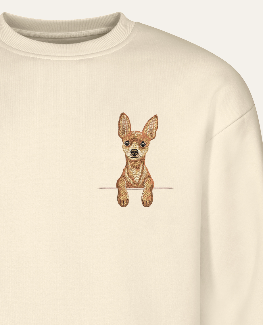 Toy terrier (rudy) – bluza z haftem, piaskowy