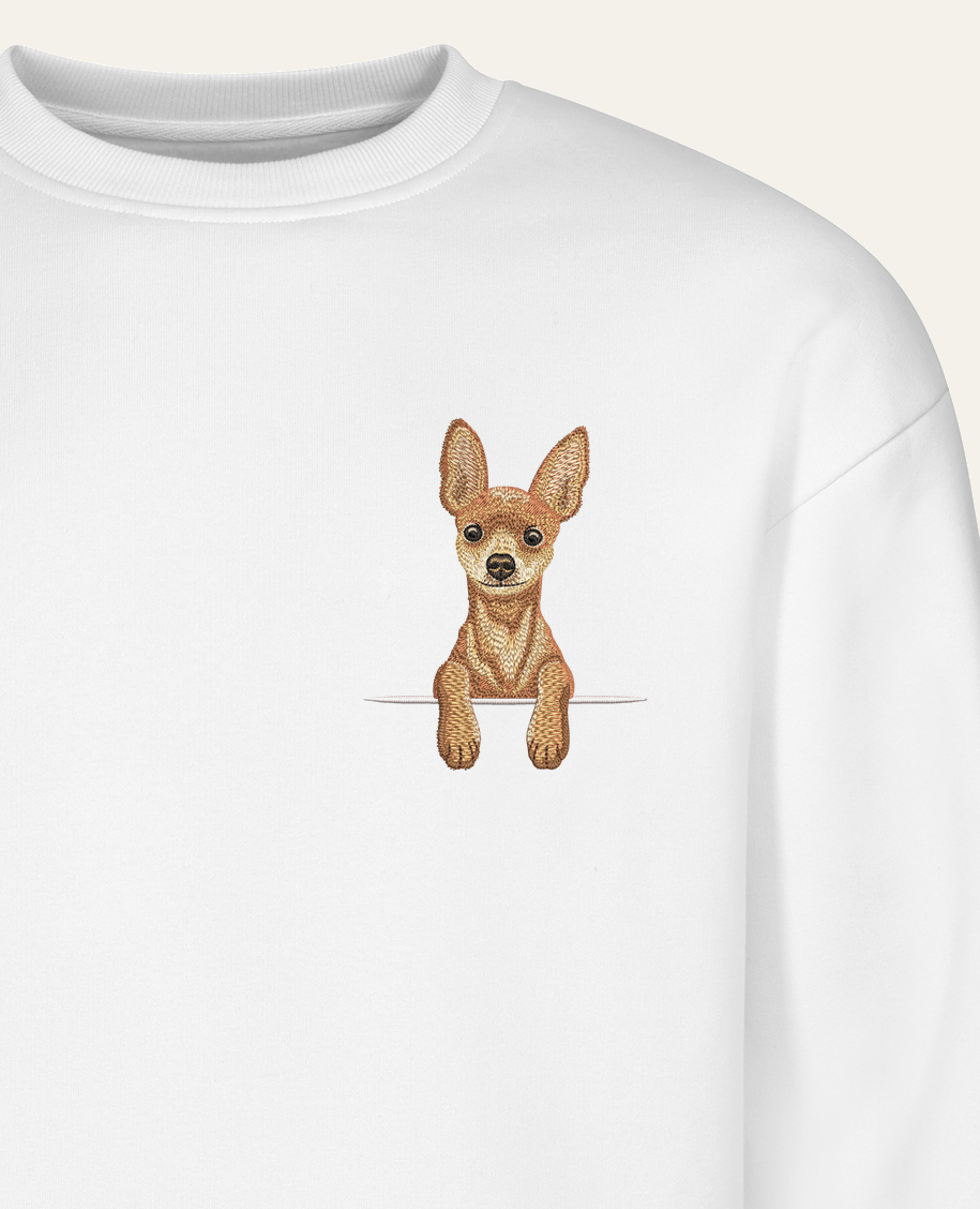 Toy terrier (rudy) – bluza z haftem, biały